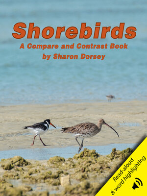 cover image of Shorebirds